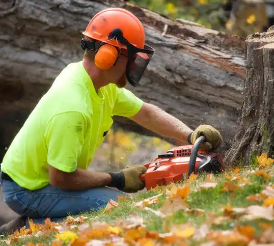 tree services Gambier